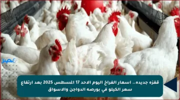 قفزة جديدة.. أسعار الفراخ اليوم الأحد 17 أغسطس 2025 بعد ارتفاع سعر الكيلو في بورصة الدواجن والأسواق